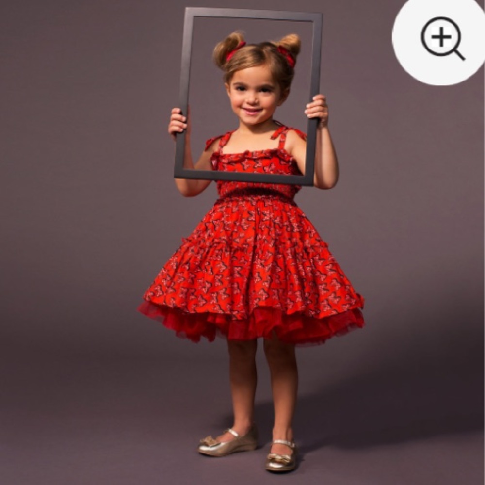 Authentic Minnie Disney TUTU Corset Costume Dress